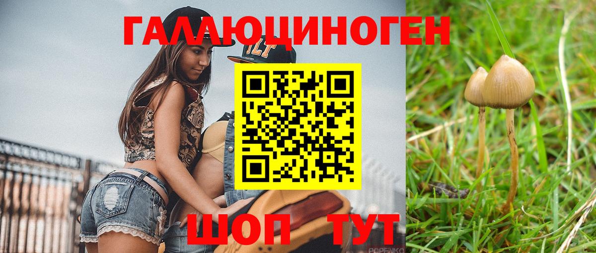 Аша  Галлюциногенные грибы мухоморы  Вход с VPN 