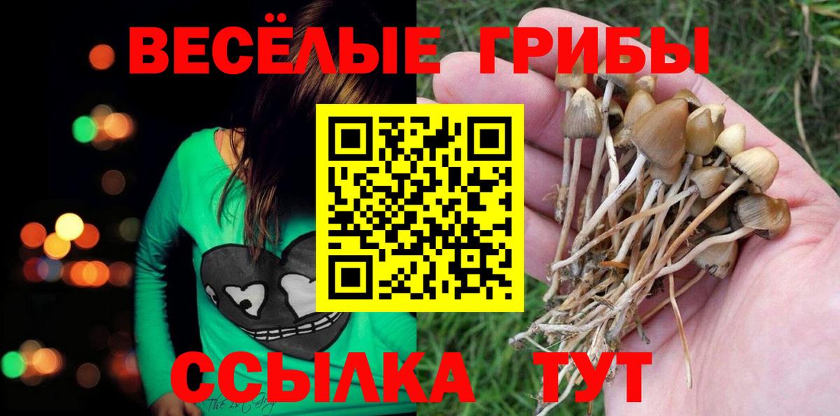 Галлюциногенные грибы Magic Shrooms Аша