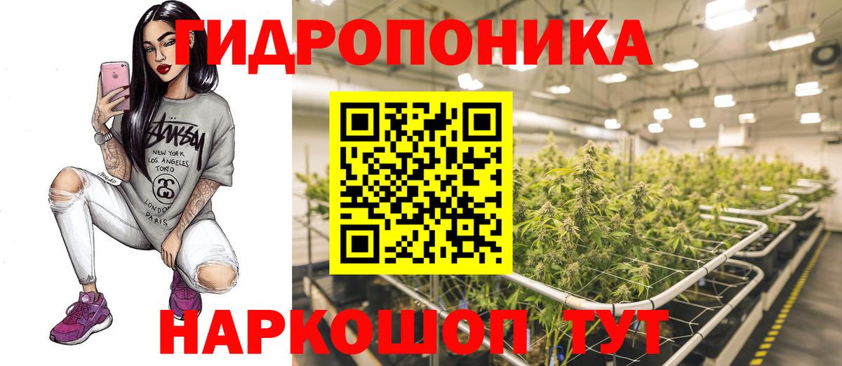 Каннабис план Аша